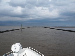 Arnold_2024-P5300485