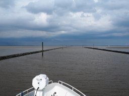 Arnold_2024-P5300486