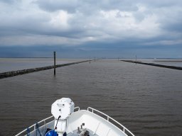 Arnold_2024-P5300487