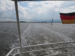 Arnold_2024-P5300491