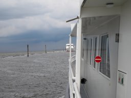 Arnold_2024-P5300492