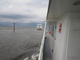 Arnold_2024-P5300493