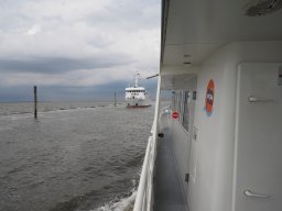 Arnold_2024-P5300494