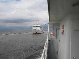 Arnold_2024-P5300495