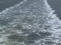 Arnold_2024-P5300506