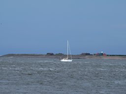 Arnold_2024-P5300507