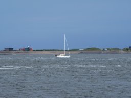 Arnold_2024-P5300508