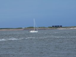 Arnold_2024-P5300509