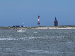 Arnold_2024-P5300510