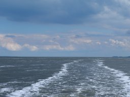 Arnold_2024-P5300514