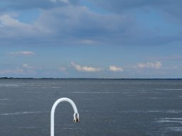 Arnold_2024-P5300515