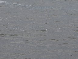 Arnold_2024-P5300516