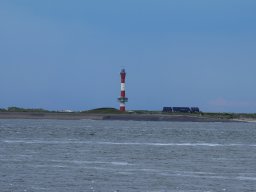 Arnold_2024-P5300522