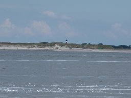 Arnold_2024-P5300523