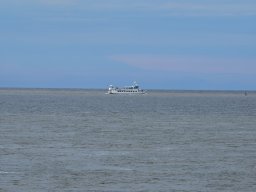 Arnold_2024-P5300524