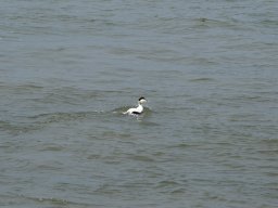 Arnold_2024-P5300527