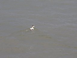 Arnold_2024-P5300529