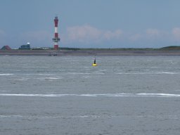 Arnold_2024-P5300531