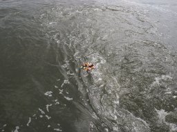 Arnold_2024-P5300553