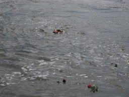 Arnold_2024-P5300555