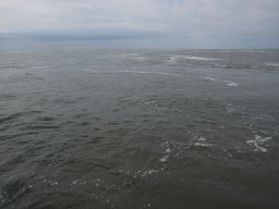 Arnold_2024-P5300559