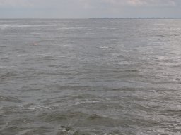 Arnold_2024-P5300561