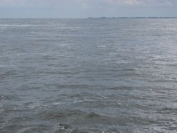 Arnold_2024-P5300562