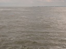 Arnold_2024-P5300563