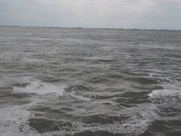 Arnold_2024-P5300567