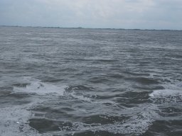 Arnold_2024-P5300568