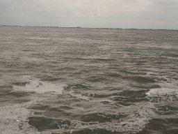 Arnold_2024-P5300569