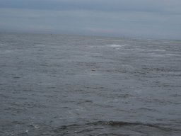 Arnold_2024-P5300571