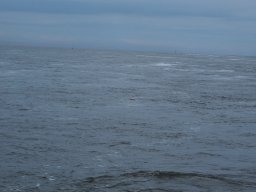 Arnold_2024-P5300572