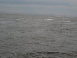 Arnold_2024-P5300573