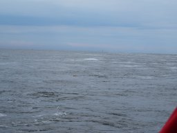 Arnold_2024-P5300574