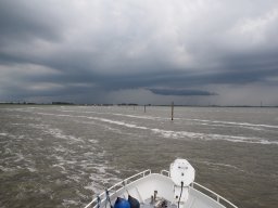 Arnold_2024-P5300576