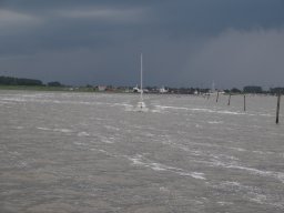 Arnold_2024-P5300577