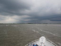 Arnold_2024-P5300578