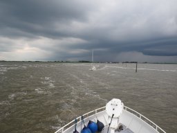 Arnold_2024-P5300579