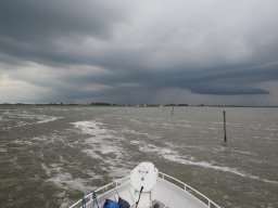 Arnold_2024-P5300581