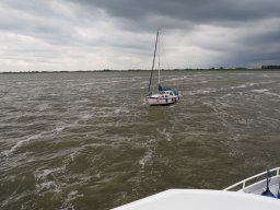 Arnold_2024-P5300582