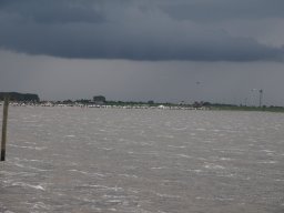 Arnold_2024-P5300583