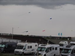 Arnold_2024-P5300587