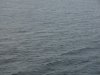 22020614_Kiel-Oslo-Kiel_301