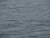 22020614_Kiel-Oslo-Kiel_305