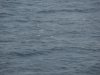 22020614_Kiel-Oslo-Kiel_318