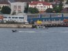 22020614_Kiel-Oslo-Kiel_372