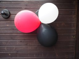 Biancas_50er_2024-P7130007