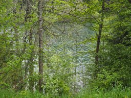 OW_Tour_2024-P5080043