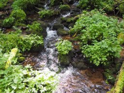 OW_Tour_2024-P5090045